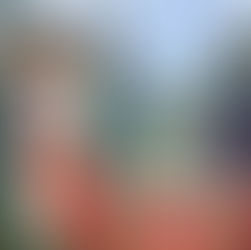 Taxes and Sovereignty: A Complicated Relationship