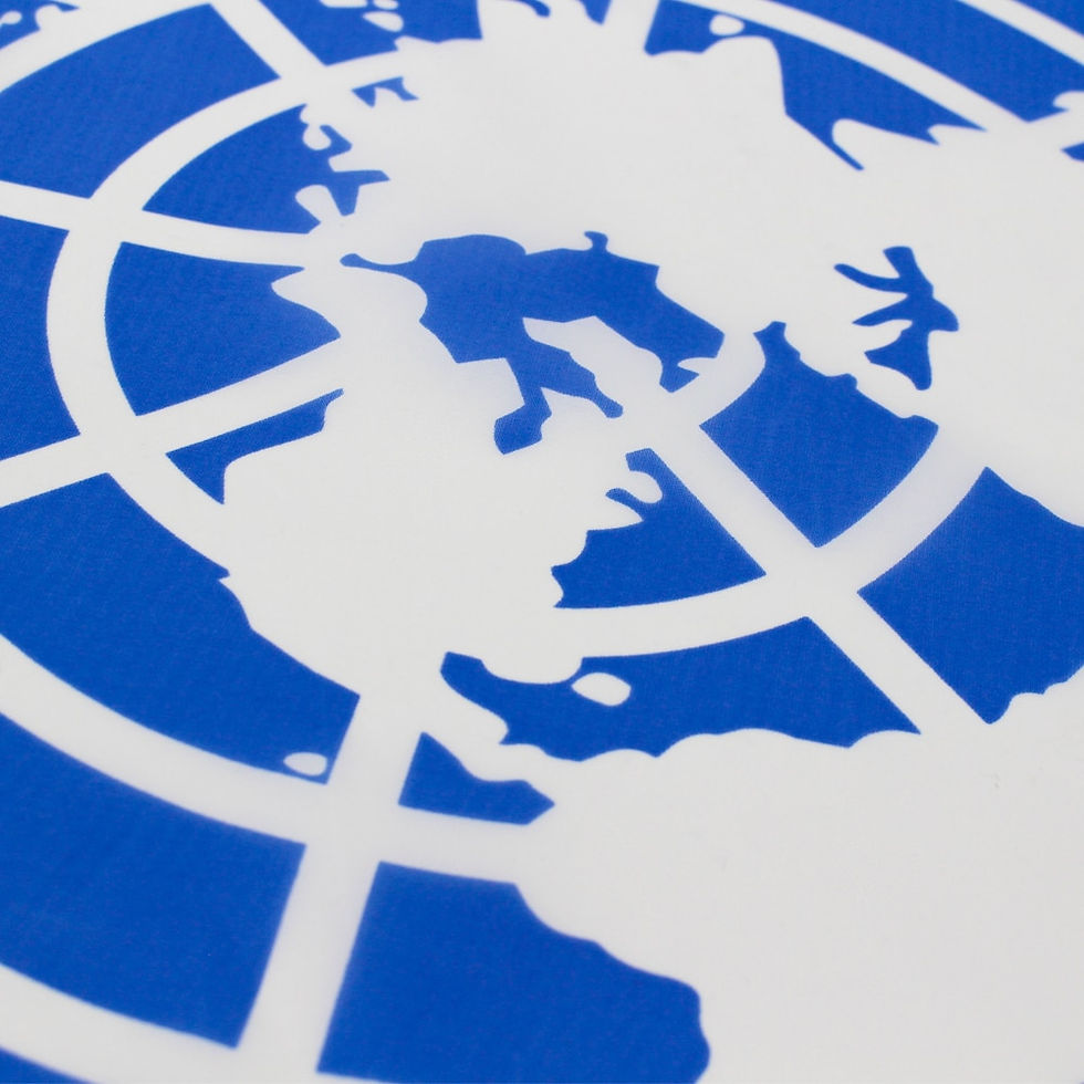 縮圖：聯合國旗幟