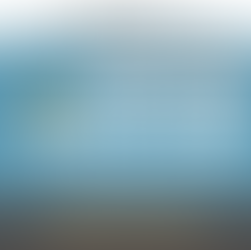 Climate activists, civil society, and academics call for a #WorldParliamentNow