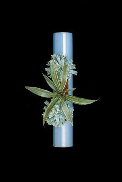 TUBO VERTICAL MEDIANO