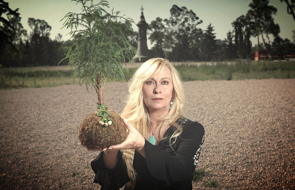 ARTE KOKEDAMA