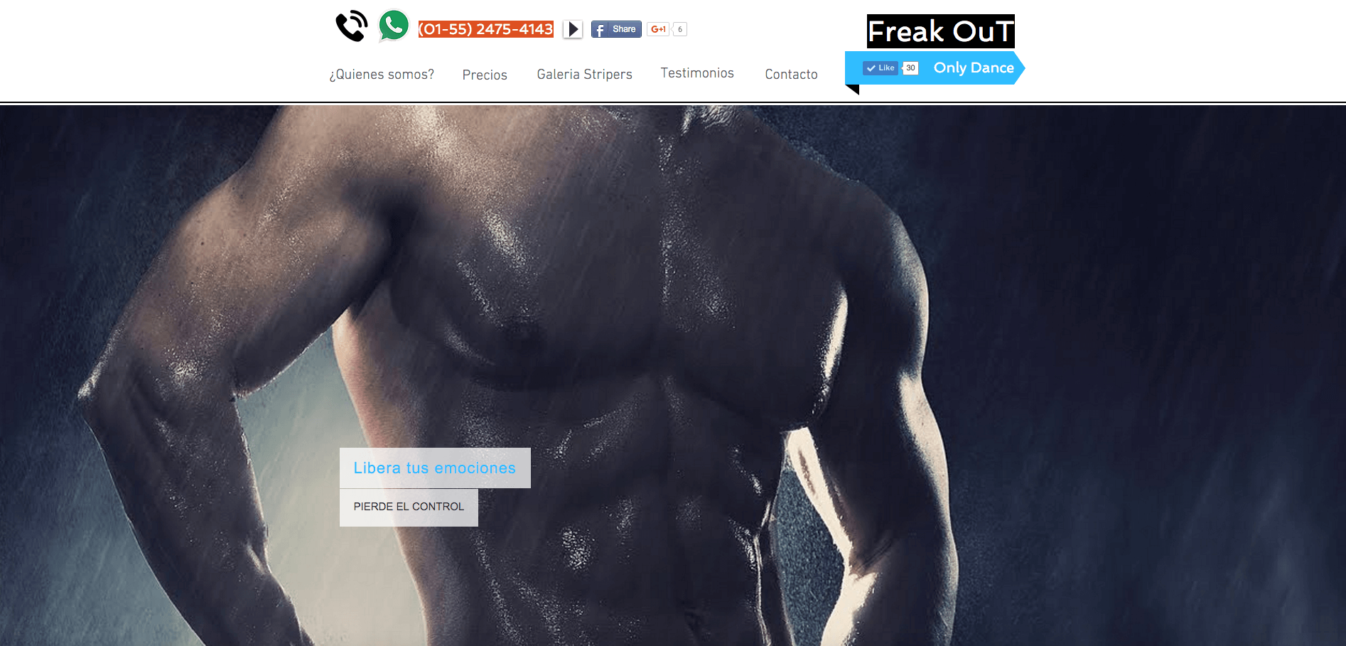 SITIO WEB GRATUITO
