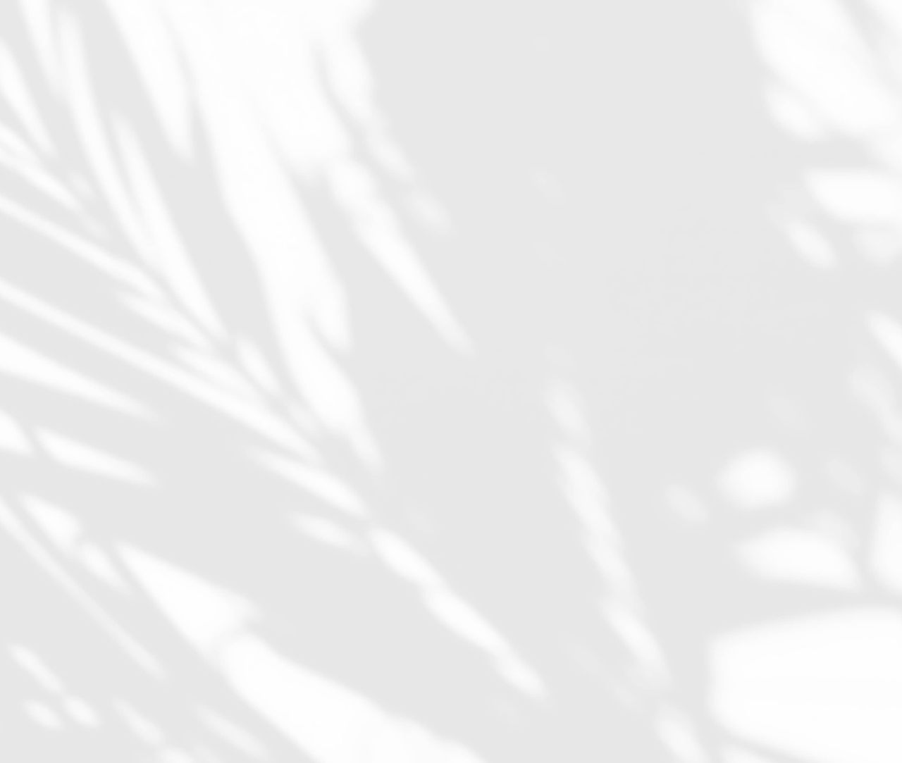 bg.jpg