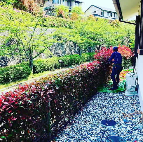 写真 2021-04-21 20 25 22.jpg