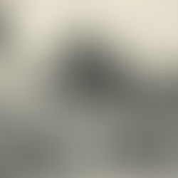 What If? The Border Conference