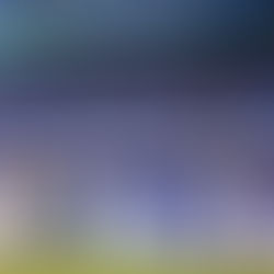 The Rise and Fall of the Blue October Part 2 The 2014 Kansas City Royals