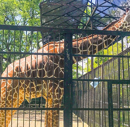 Cities Without AZA Accredited Zoos
