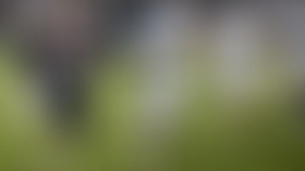 A Modern Big East Football Conference