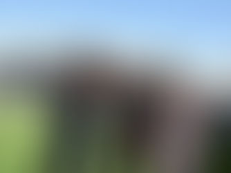 PRESS-ENTERPRISE: Festival