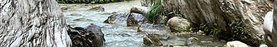IMG_2652.jpeg