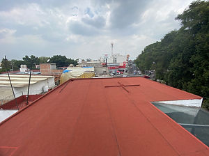 IMG_3807.jpeg
