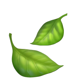wind.png