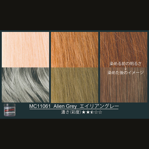エイリアングレー | MANIC PANIC JP