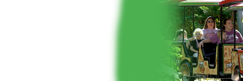 spring break banner trans.png