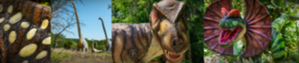 10 for 10 Web Banner_edited.jpg