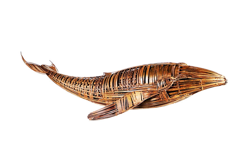 BALLENA.jpg