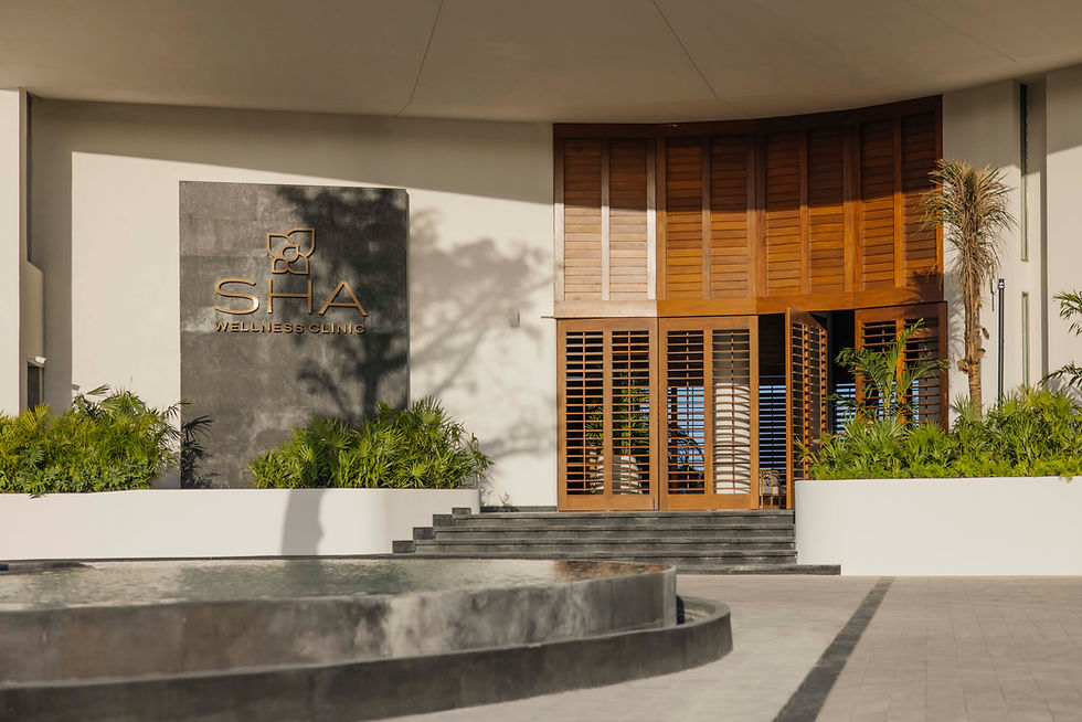 SHA Mexico retreat experience by the sea with wellness workshops and gourmet cuisine
