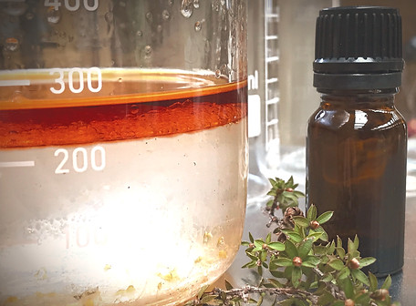 Manuka Oil New Zealand - Batch 0001.jpg