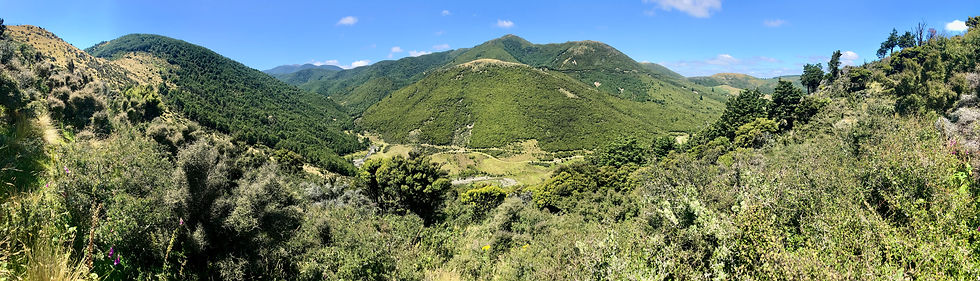 Alpinus Station Viewsmedium .jpg
