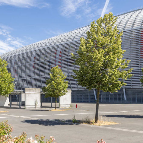 Photo d'un stade avec espaces vert arboré