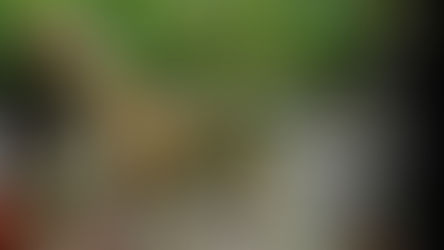 [รีวิว] ห้องอาหาร Jurassic World: The Experience - Fossil & Flame Restaurant เอเชียทีค | Asiatique The Riverfront Destination