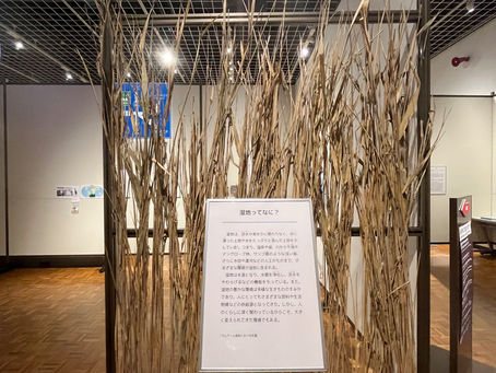 【マガレンジャー活動】「北海道博物館へ行く!」