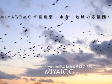 【お知らせ】ブログを引越しました