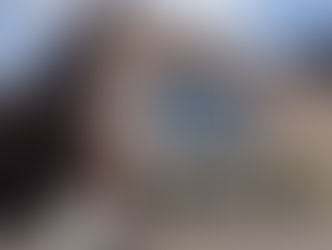 Thurrock Council - Local Elections May 2026