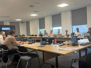 Thurrock Nub News-Council Accounts