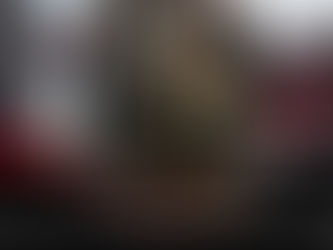 Essex Fire Museum - Open Day