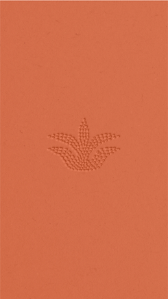 Alma Rising - Export HG Letterpress-05.png