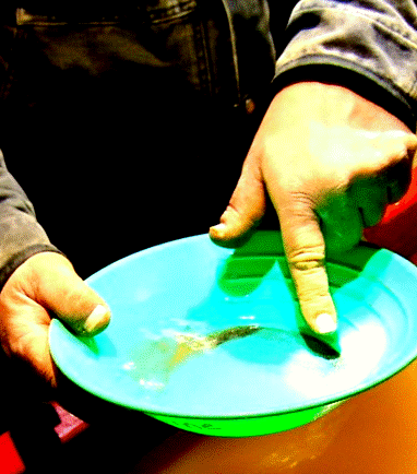 Panning Trio.gif