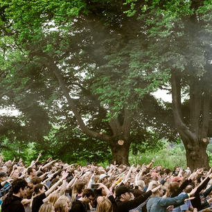 Publikum 2019