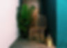 CDB9A3F7-B15F-400B-BED1-BE13DE47A214.jpeg