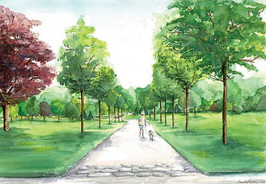 Allee-of-trees-Lite_PPT_Cropped.jpg