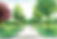 Allee-of-trees-Lite_PPT_Cropped.jpg