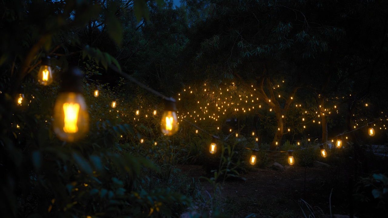 Rafael Lozano-Hemmer iluminará el Museo de Arte Moderno con la muestra nocturna “Jardín inconcluso”
