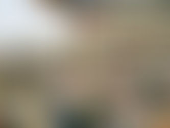 Día de la Tierra 2026: México y EE. UU. Unen Cultura y Ecología para Frenar la Crisis Climática