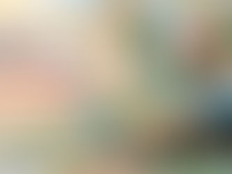 Fortalecimiento del peso mexicano tras distensión diplomática de Donald Trump en Oriente Medio