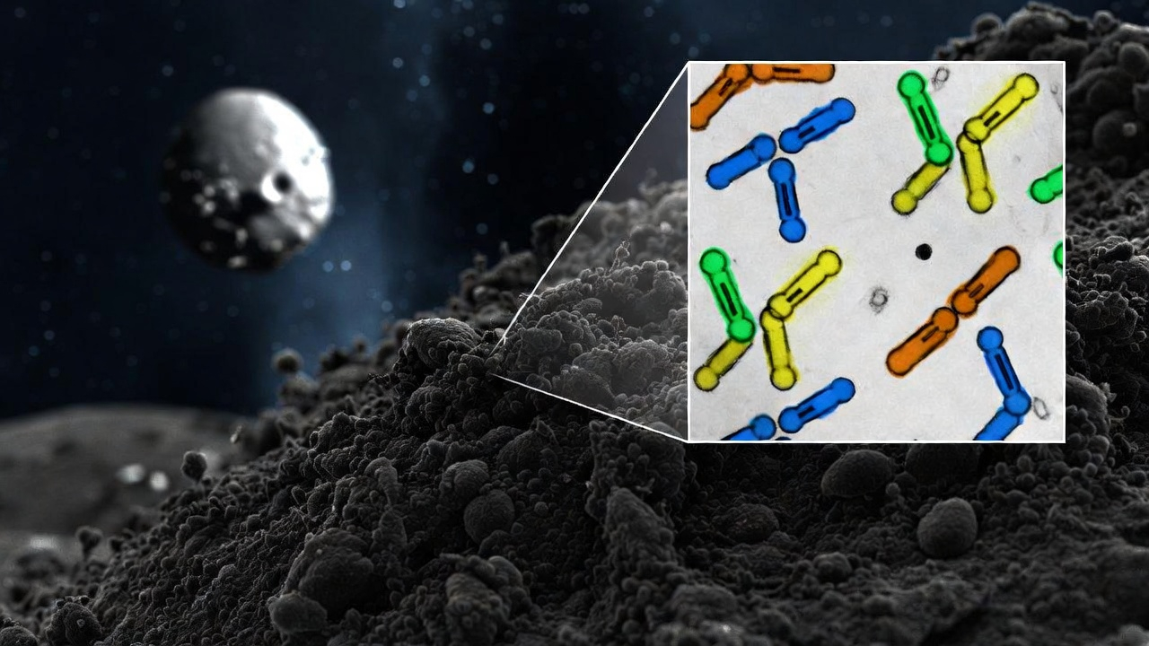 Hallazgo Científico: Detectan bases nitrogenadas del ADN en muestras del asteroide Ryugu