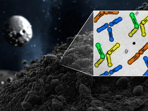Hallazgo Científico: Detectan bases nitrogenadas del ADN en muestras del asteroide Ryugu