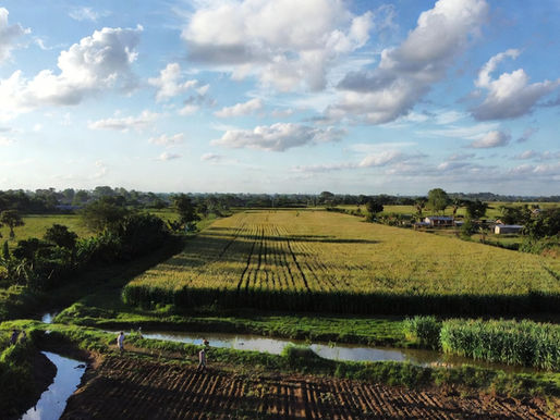 México y el FIDA refuerzan resiliencia climática en la Cuenca del Balsas