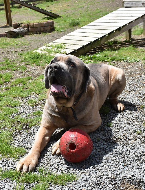 DSC_0561.JPG