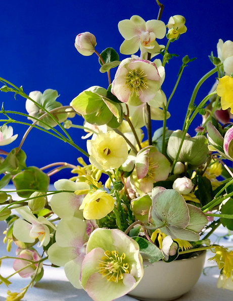 Teresa Atelier Floral - Teresa Segovia - Floral Design