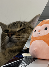 Screenshot 2023-01-28 033932.png