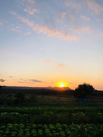 IMG-20250929-WA0249.jpg