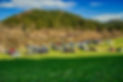 HP_DSCF0474.jpeg