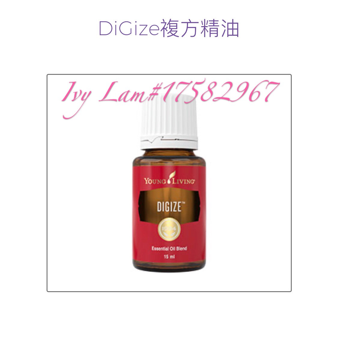 DiGize
