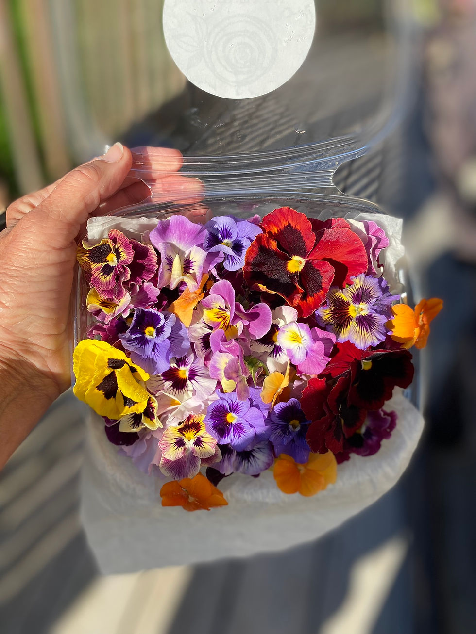 Thumbnail: LARGE Edible Flowers