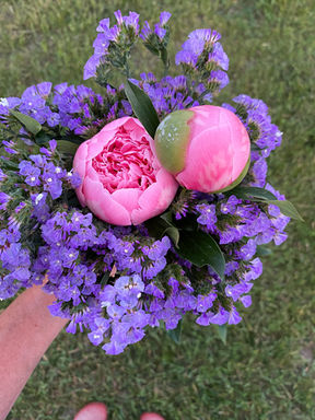 Flouncy peony blooms